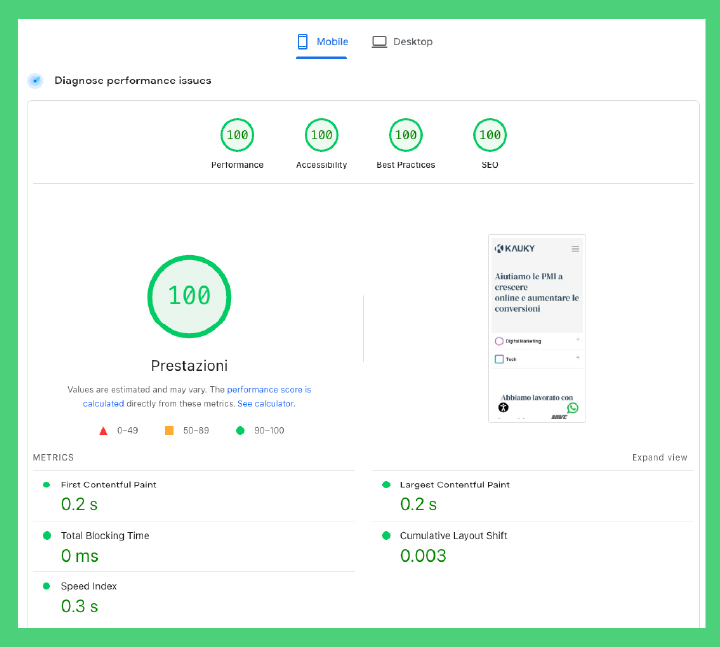 performance siti web corporate kauky 1